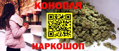 сатива Кунгур