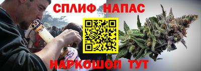 сатива Кунгур