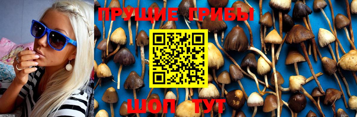 Галлюциногенные грибы MAGIC MUSHROOMS  Вход с VPN  Касимов  закладки  Галлюциногенные грибы Cubensis 